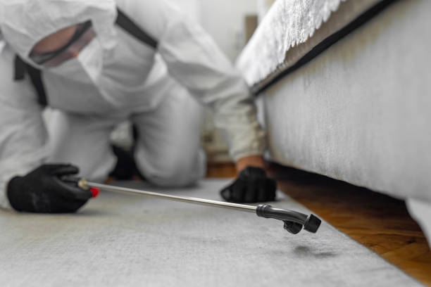 Professional Termite Control technician working in Conesus Lake, NY