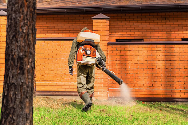 Trusted Cockroach Control service in Conesus Lake, NY - Nex Pest Control